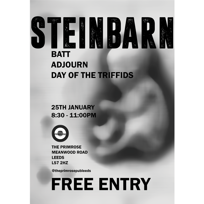 Steinbarn poster